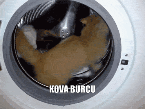 Burcuna Göre Çevreni Kıskandıran Özelliklerin Nelerdir?
