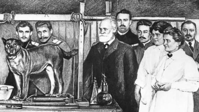 Pavlov'un Köpekleri ve Şartlı Refleksin İkinci Dünya Savaşında Kullanımı