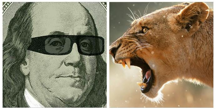 2019da Mutluluğa Giden Yolda İki Bilimsel Rehber: Aptal Puma Sendromu ve Benjamin Franklin Etkisi Sizi Bambaşka Biri Yapacak