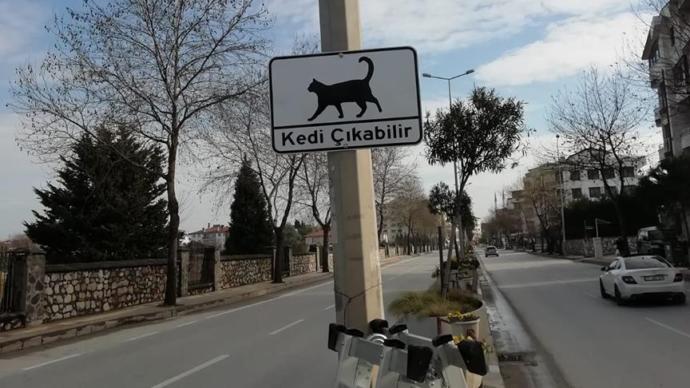 Tabelalar Kentin İşlek Bölgelerine Asıldı