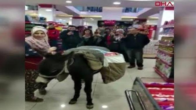 Eşekli Poşet Protestosu!