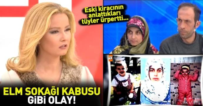 Ülkemizin Her Yerine İşleyen Cin Temalı, Korku Evli Ve Lanetli Bir Hikaye: P A L U L A R! Acilen Serbest Dolaşmaları Engellenmeli!