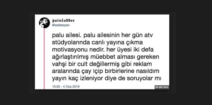 Ülkemizin Her Yerine İşleyen Cin Temalı, Korku Evli Ve Lanetli Bir Hikaye: P A L U L A R! Acilen Serbest Dolaşmaları Engellenmeli!