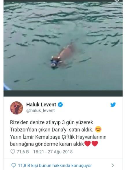 İyiliğin Diğer Adı Haluk Levent Ve Göz Yaşartan 8 İyilik Hareketi