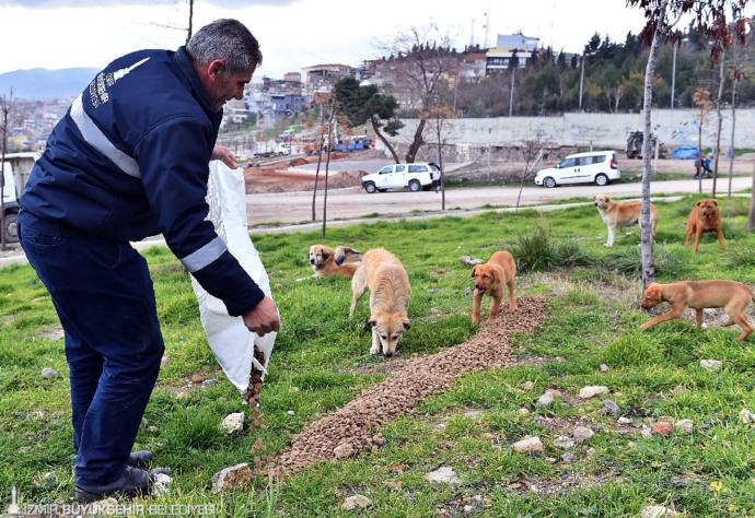 İzmir Büyükşehir Belediyesi Sokak Hayvanlarını Unutmadı!