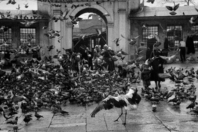 Ara Güler Müzesi Turizm Bakanlığı Tarafından Büyük Ödüle Layık Görüldü