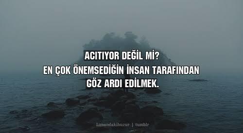 Bir Damla Sevgiye Bir Demet Aşk Nasıldır?