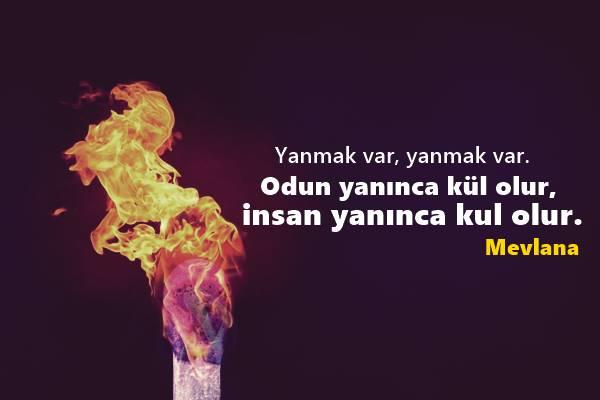 Bir Damla Sevgiye Bir Demet Aşk Nasıldır?