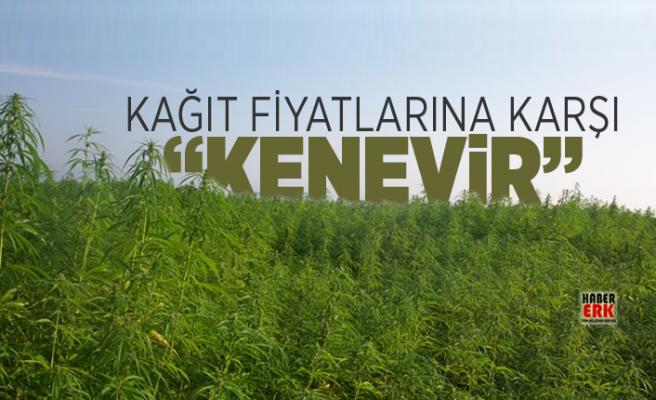 Çok Önemli Bitki Olmasına Rağmen En Kötü Şekilde Kullanılan Kenevir Hakkında İlgi Çekici Bilgiler