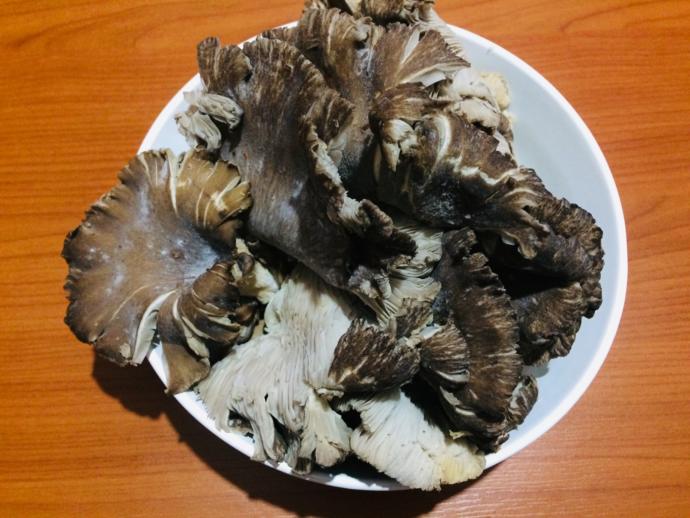 İstiridye Mantarının Garnitür Olarak Hazırlanışı!