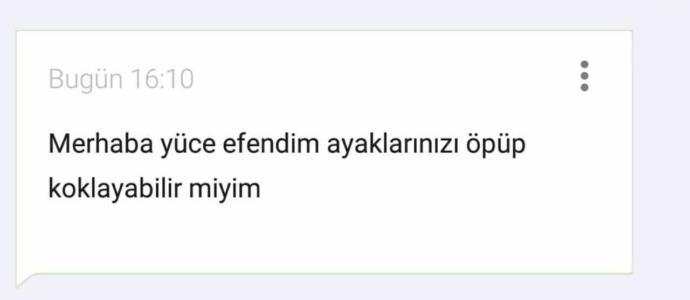 MHP'nin Adayı Erdoğan'dan İzin İstedi: Bozkurt İşareti Yapabilir miyim?