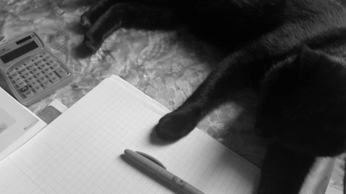 Kedi Besleyenlerin İyi Bildiği Gerçekler
