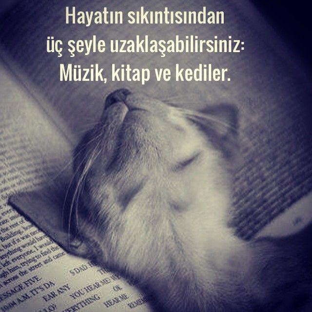 Enstrüman Çalmanın 10 Mükemmel Faydası