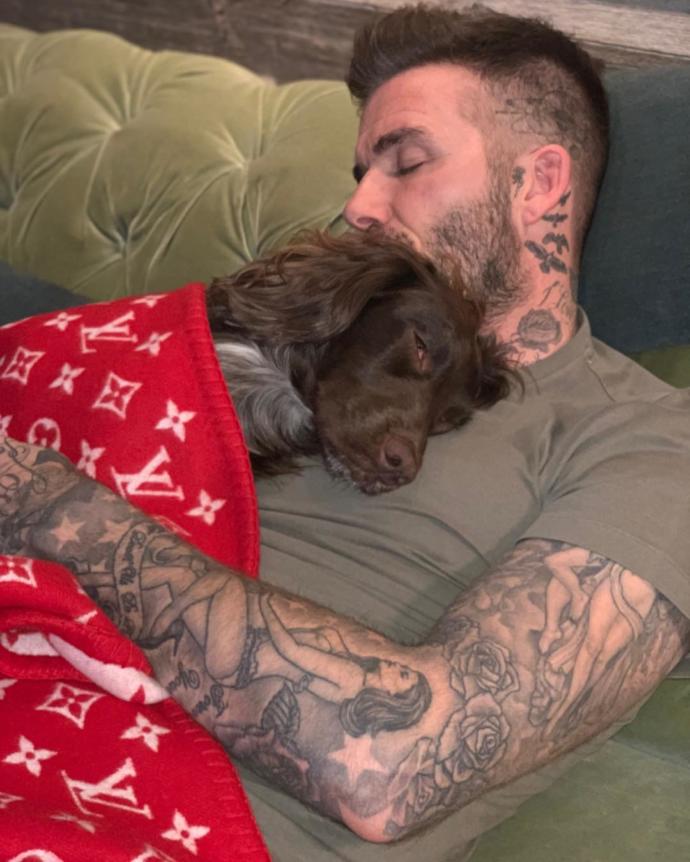 David Beckham'ın Köpeğini Örttüğü Battaniye Gündem Oldu