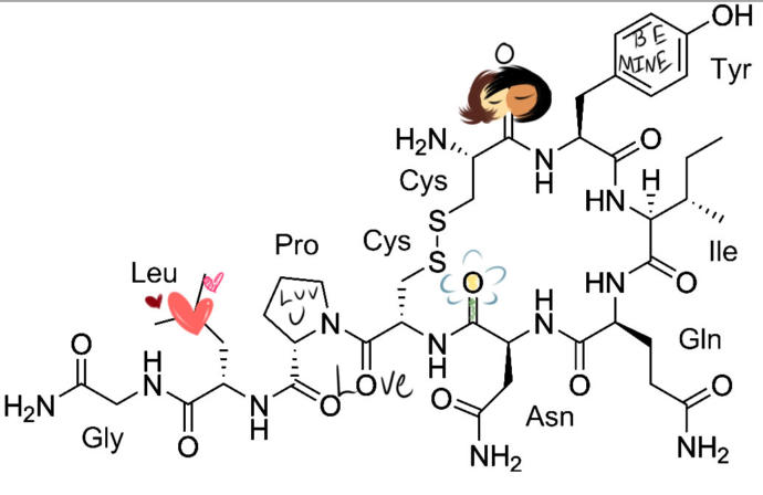 Oksitosin Hormonu Formülü