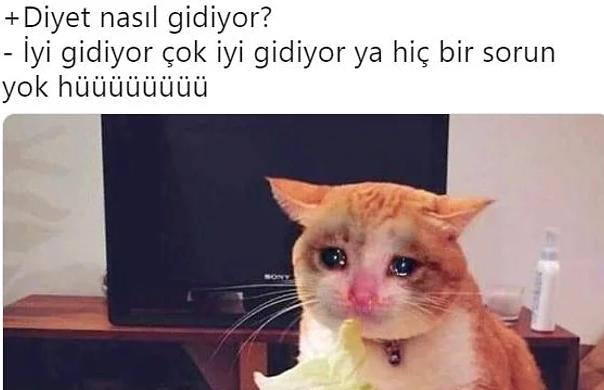 Fazla Kilolarından Şikayetçi Olup Diyet Yolunda Zorlanan Kişilerin Güldüren Tweetleri!
