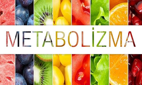 Metabolizma
