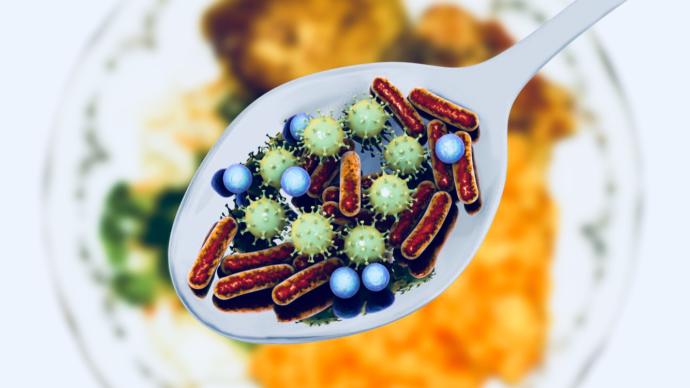 Gıda zehirlenmesi, gıdadaki bakteri atıklarını metabolizmanıza katmanız sonucu oluşur. Bu bakterilerin atıkları zehirlidir.