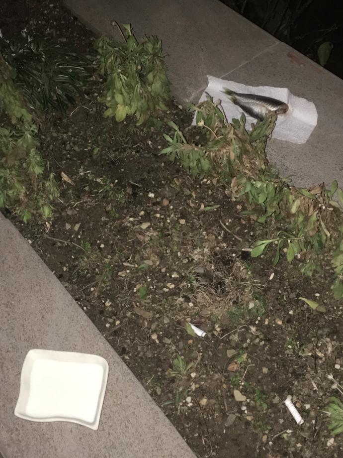 Ankara'nın Soğuğunda İçleri Isıtan Bir Hikaye: İnci Hanım'la Tanışın