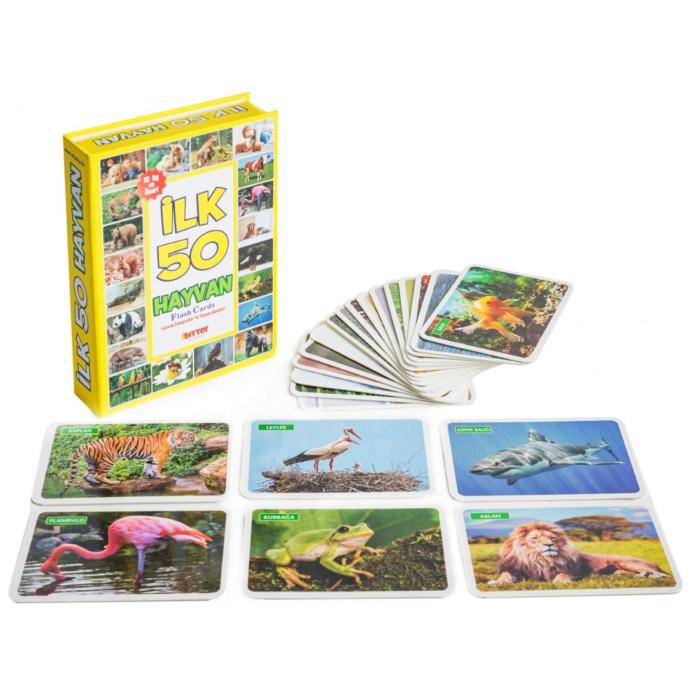 Diy Toy Eğitici Kartlar 4 lü Set