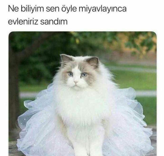 ‘’Biz Şimdi Ne Olacağız?’’ Sorusunu Bir Kenara Bırakıp, Karşı Cinsi Evliliğe İkna Etmenin 6 Şifresi!