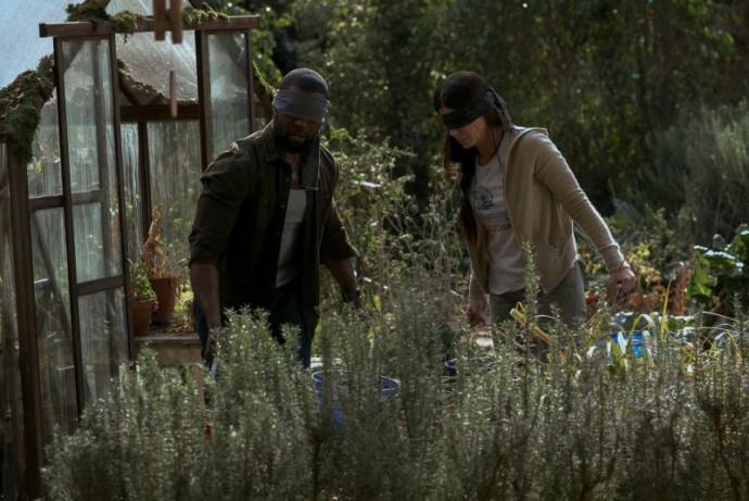 Son Zamanların En Efsane Filmi Bird Box Hakkında Bilmeniz Gereken 10 Gerçek!