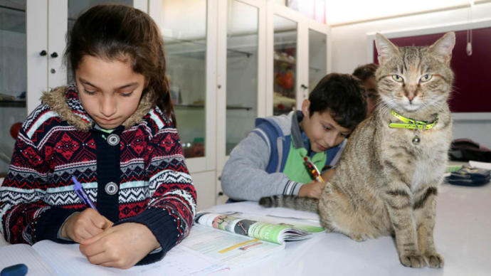 Tarçın ve Öğrenciler