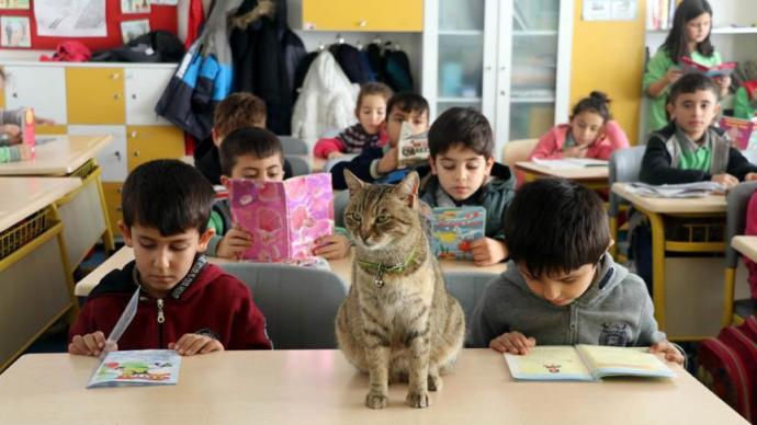 Tarçın, Derslerde İstediği Gibi Takılıyor