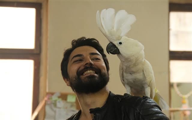 Zencefil ve Yazarımız (: