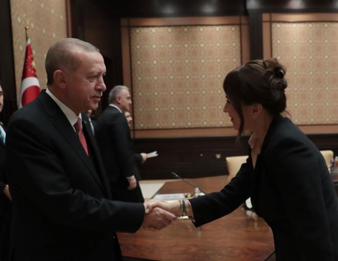 Sinemacılar Erdoğan'ın Huzurunda