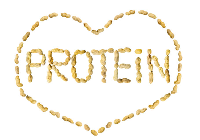 Protein, yaşamsal fonksiyonların en önemli yapı taşlarındandır.
