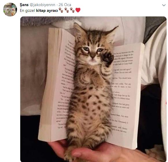 Twitter Kullanıcıları Kitap Ayracı Olarak Kullandıkları Şeyleri Paylaştı ve Ortaya İlginç Fikirler Çıktı!