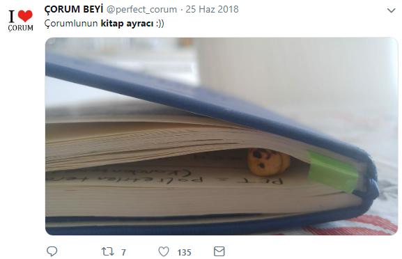 Twitter Kullanıcıları Kitap Ayracı Olarak Kullandıkları Şeyleri Paylaştı ve Ortaya İlginç Fikirler Çıktı!