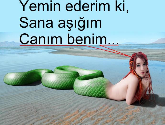Seda Akgül'den Yılanlı Gönderme
