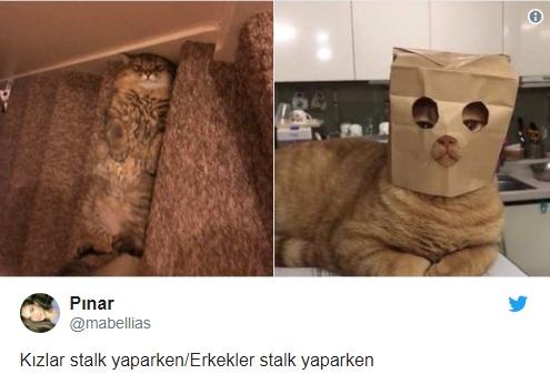 Erkeklerle İlgili Tespitin Dibine Vurmuş Twitter Mizahşörleri!
