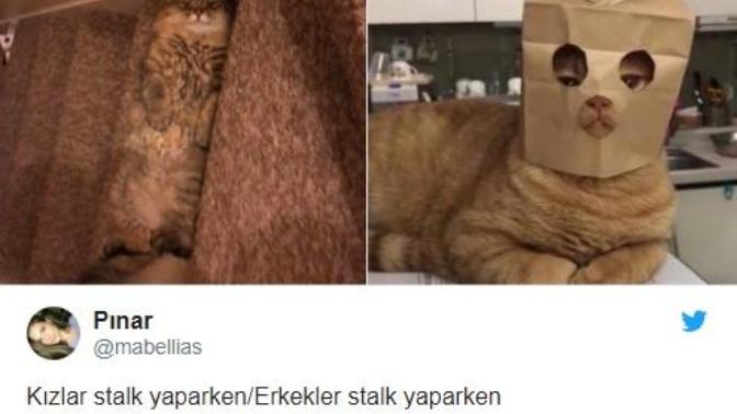 Erkeklerle İlgili Tespitin Dibine Vurmuş Twitter Mizahşörleri!
