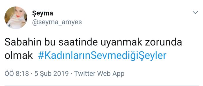 Kadınlar Ne İster? 14  Şubat  Yaklaşırken Twitter Aleminin Tüyolarıyla #kadınlarınsevmediğişeyler