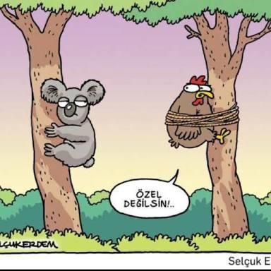 Farklı olmak.