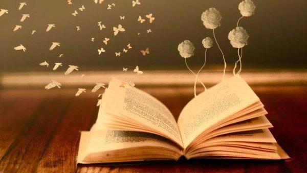 İçimizdekileri Yansıtan Ayna: Kitap