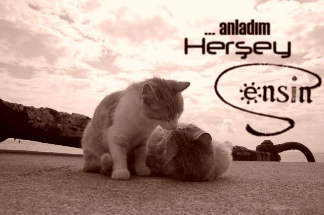 Bırak..! Dağınık kalalım öylece..