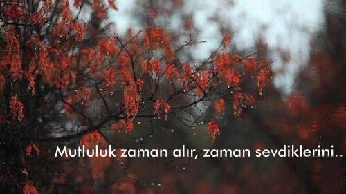 Sanaldan Birini Sevmek: Çöküş!