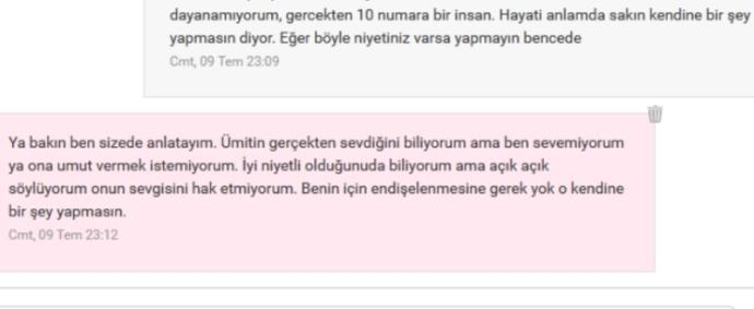 Sanaldan Birini Sevmek: Çöküş!