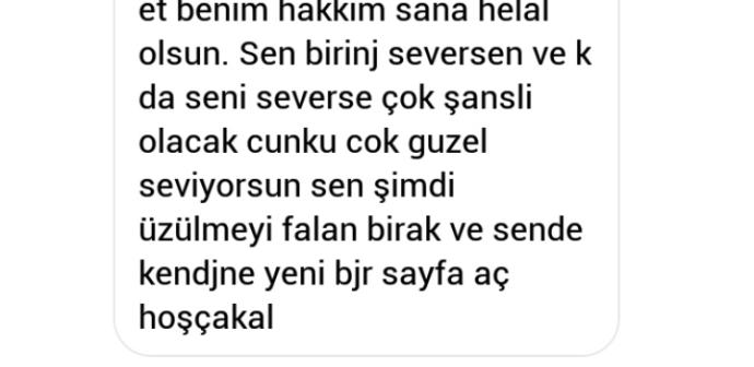 Sanaldan Birini Sevmek: Çöküş!