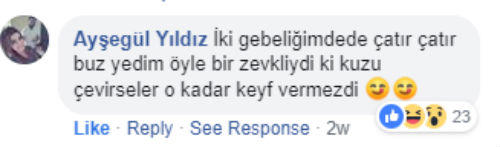 Anne Adayların Hamile İken Aşerdikleri Birbirinden İlginç Damak Tatları