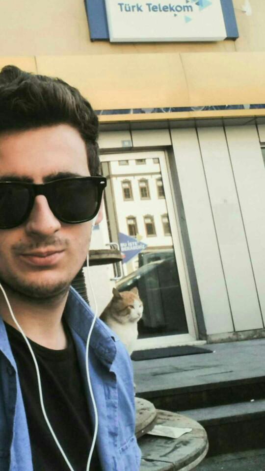 Bugün 17  Şubat  Dünya Kediler Günü! İşte Bu Sevimli Varlıkları Sevmemiz İçin 6 Neden