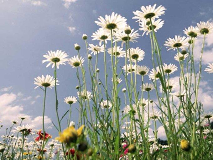 Kışlıkları Kaldırıp Tatil Planlarını Yapmanın Zamanı, Cemre Mevsimi!