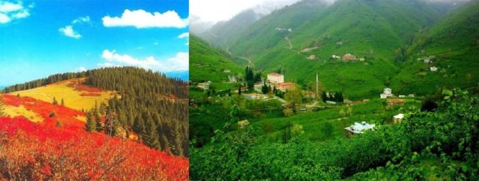 Kirazın Ana Vatanı (Kerasus-Kerasunt) Giresun!
