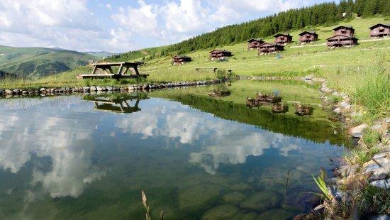 Kirazın Ana Vatanı (Kerasus-Kerasunt) Giresun!