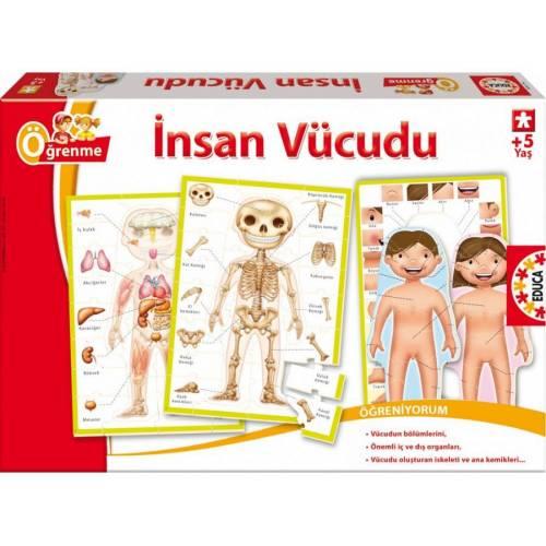 İnsan Vücudu Tanıyalım
