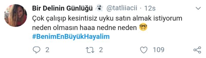 Hayaller ve Gerçekler: Twitter Aleminin Hayalleri Dile Geldi #BenimEnBüyükHayalim